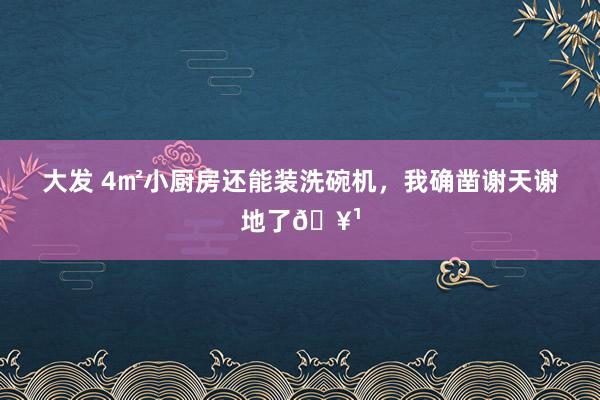 大发 4㎡小厨房还能装洗碗机，我确凿谢天谢地了🥹