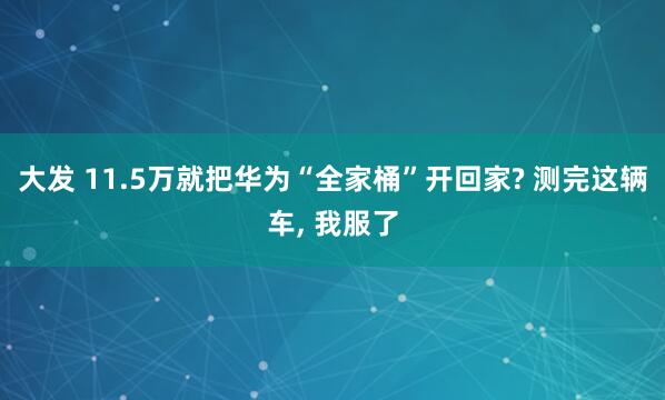 大发 11.5万就把华为“全家桶”开回家? 测完这辆车， 我服了