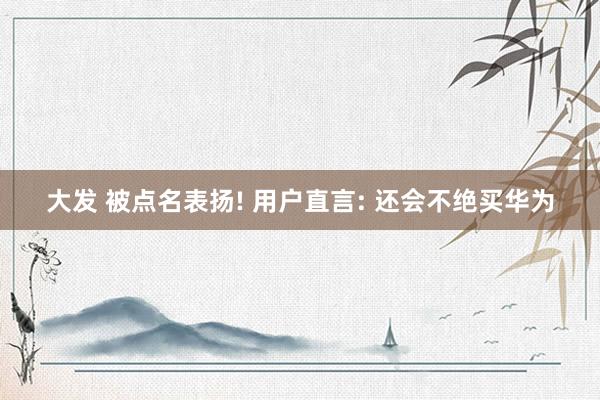 大发 被点名表扬! 用户直言: 还会不绝买华为