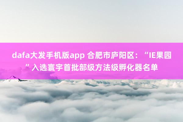 dafa大发手机版app 合肥市庐阳区：“IE果园”入选寰宇首批部级方法级孵化器名单