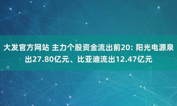 大发官方网站 主力个股资金流出前20: 阳光电源泉出27.80亿元、比亚迪流出12.47亿元