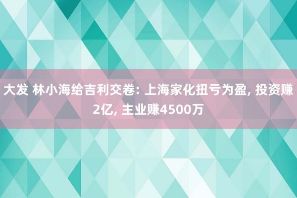 大发 林小海给吉利交卷: 上海家化扭亏为盈， 投资赚2亿， 主业赚4500万