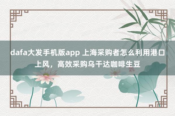 dafa大发手机版app 上海采购者怎么利用港口上风，高效采购乌干达咖啡生豆