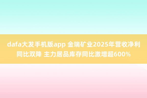 dafa大发手机版app 金瑞矿业2025年营收净利同比双降 主力居品库存同比激增超600%